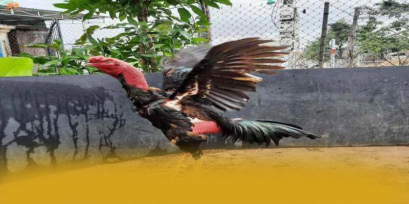 Khuyến mãi giá trị lớn dành cho tất cả người chơi tại 8XBET