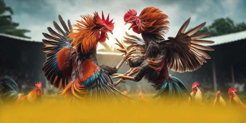SUNWIN - Nhà cái sở hữu kho game phong phú 2026